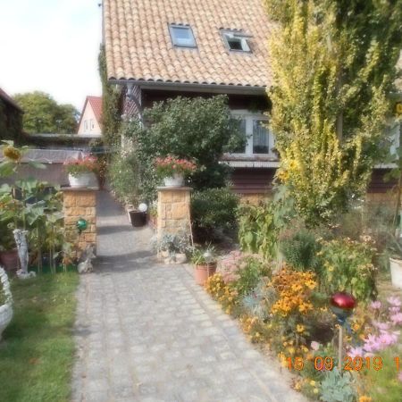 Vermiete Sehr Schoenes Apartment In Dankerode Im Harz Bagian luar foto