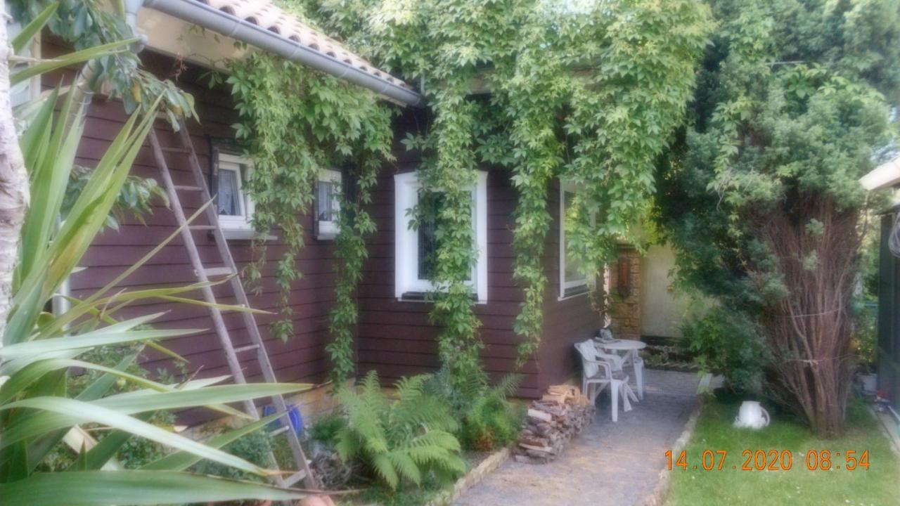 Vermiete Sehr Schoenes Apartment In Dankerode Im Harz Bagian luar foto