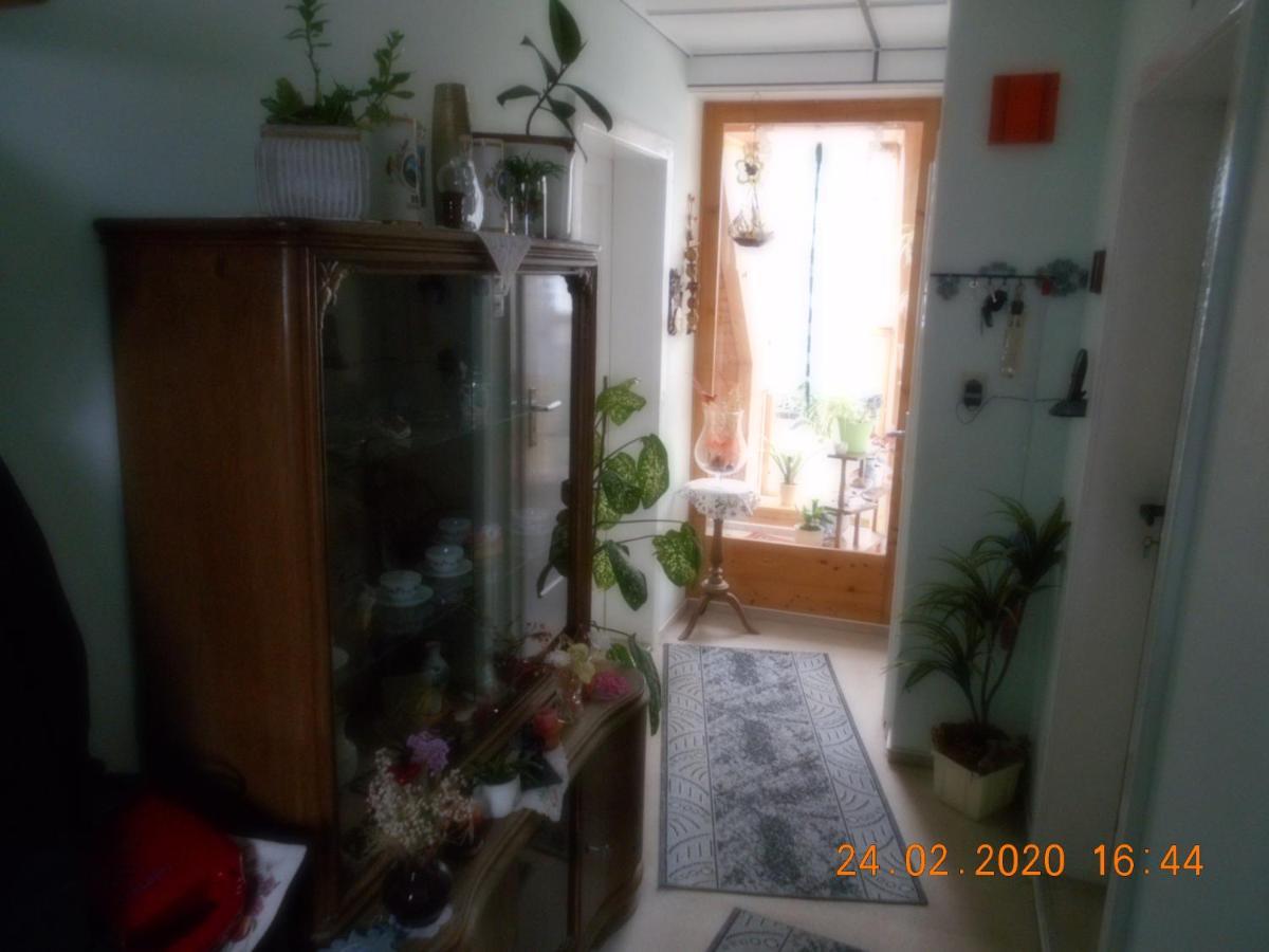 Vermiete Sehr Schoenes Apartment In Dankerode Im Harz Bagian luar foto