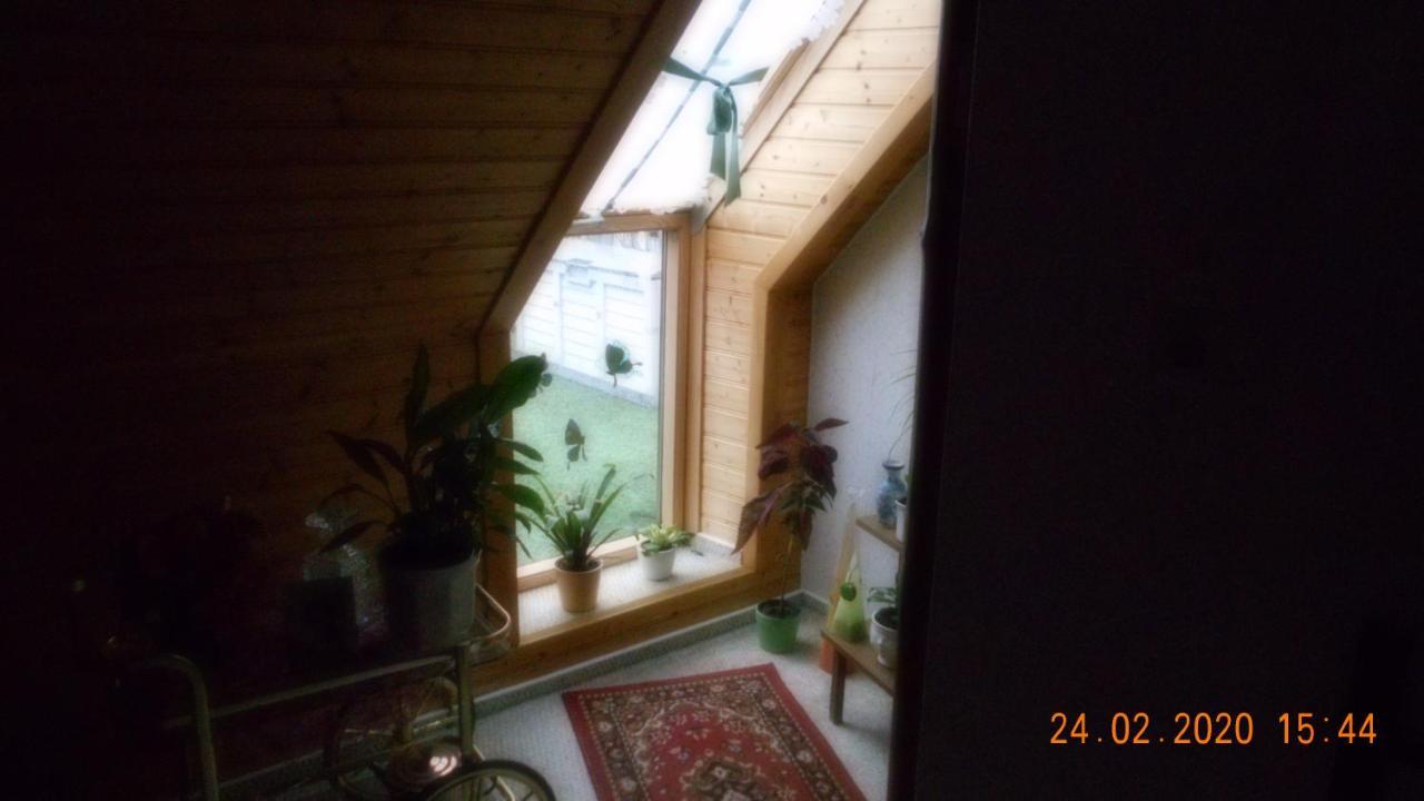 Vermiete Sehr Schoenes Apartment In Dankerode Im Harz Bagian luar foto