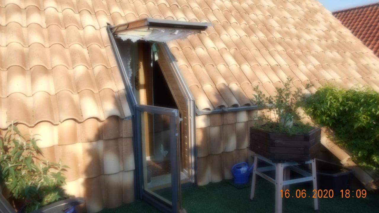 Vermiete Sehr Schoenes Apartment In Dankerode Im Harz Bagian luar foto